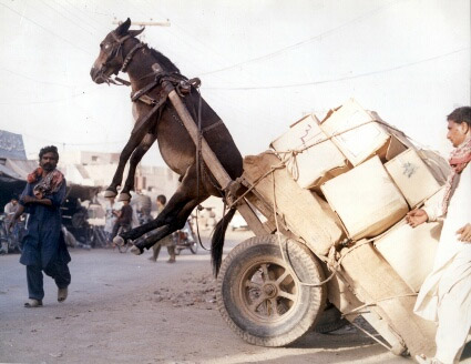 chof   ta3do